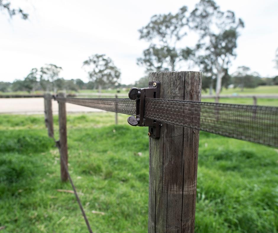 38149f54428c52fcbf3a