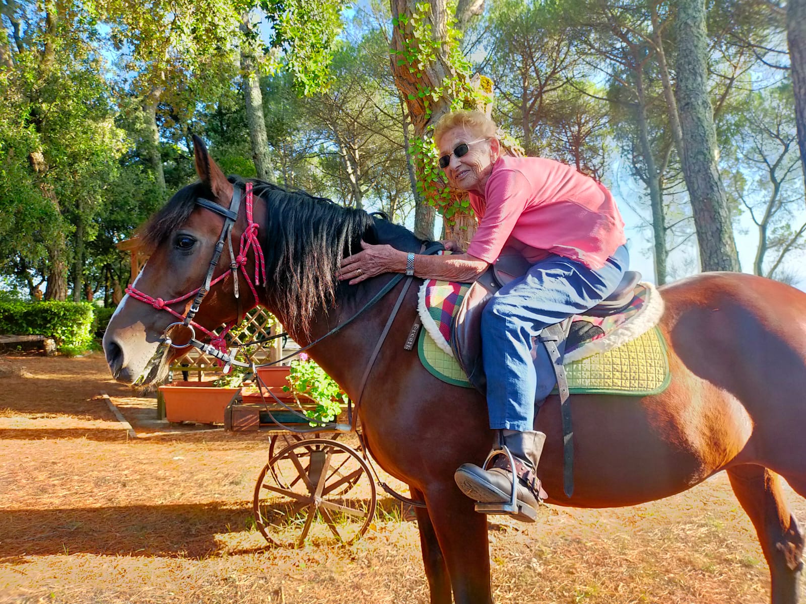 a cavallo 2
