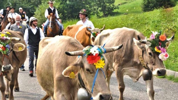 Trentino: alla Desmalgada un cavallo travolge 4 persone