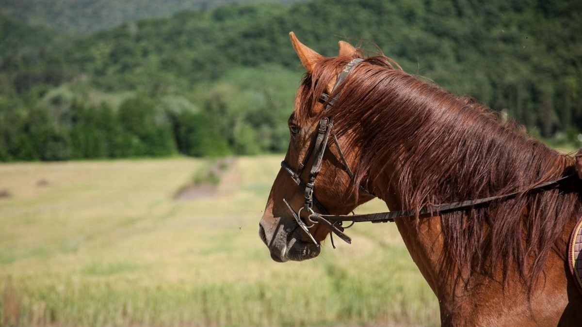 Umbria: con La Casella tra il Parco di Villalba e il Sentiero dei Briganti