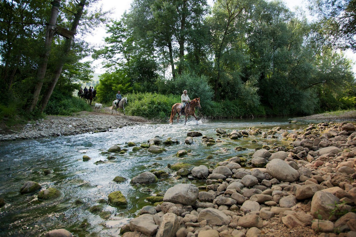 equitazione 3