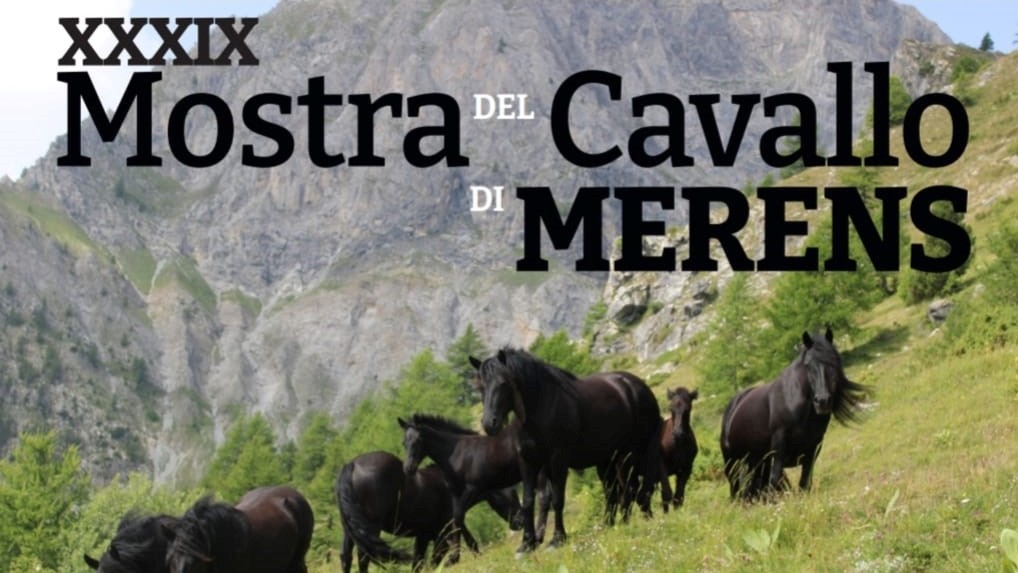 La Rassegna dei Merens 2023: a Roccabruna!
