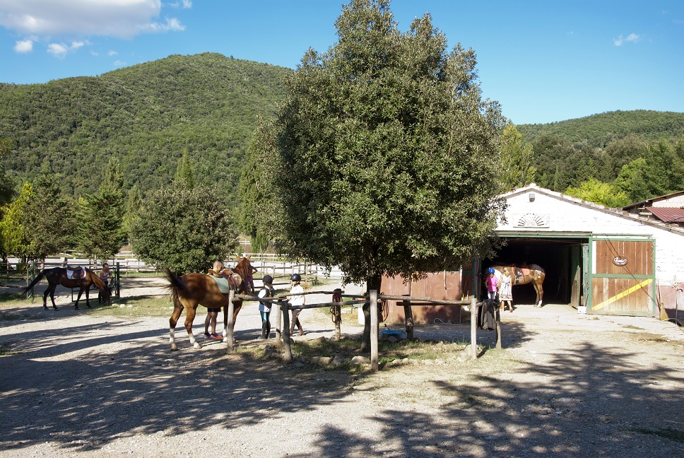 scuola equitazione