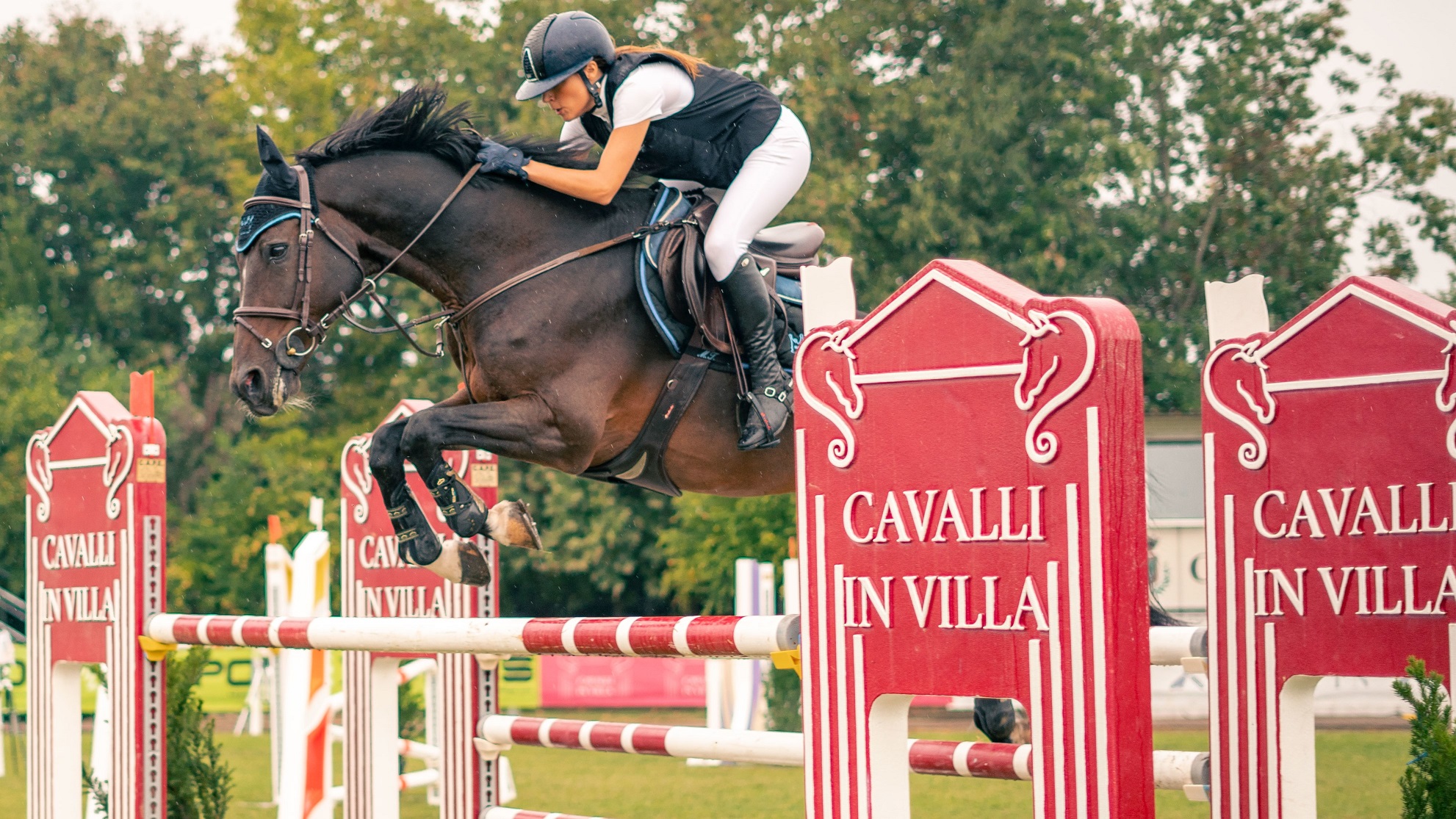 Cavalli in Villa: grande successo per la 6ª tappa a Villa Bassi di Abano Terme