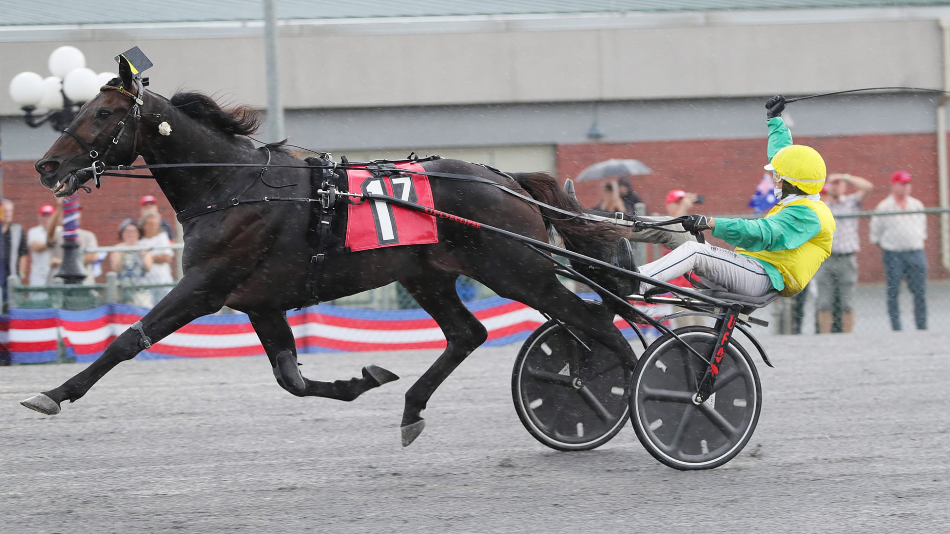 Un regale Vivid Wise As domina l’International Trot
