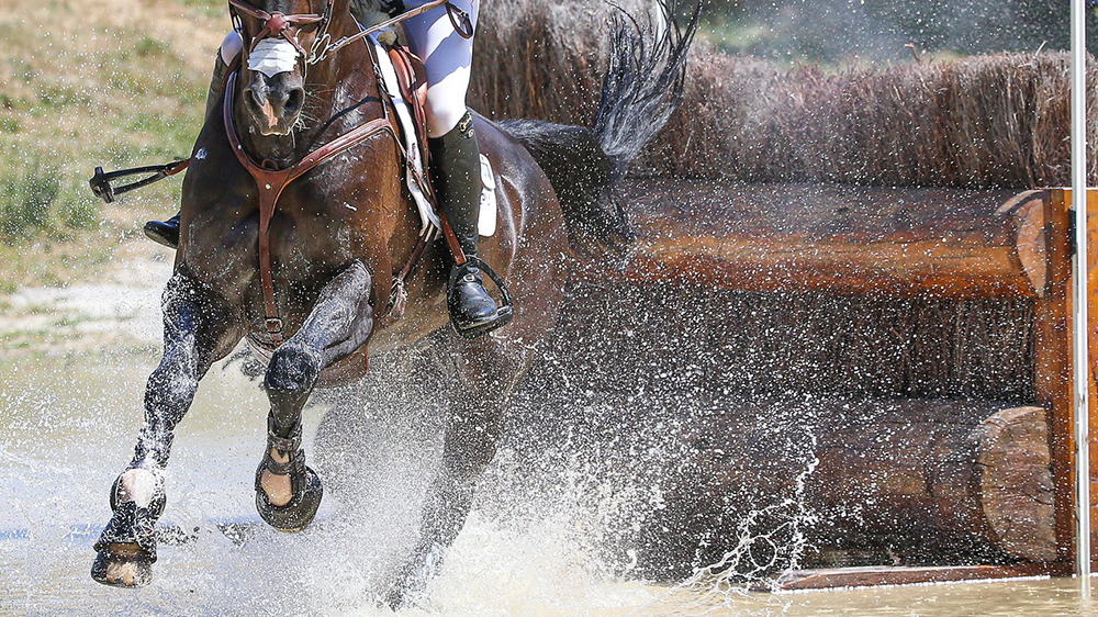 Il team di Boekelo