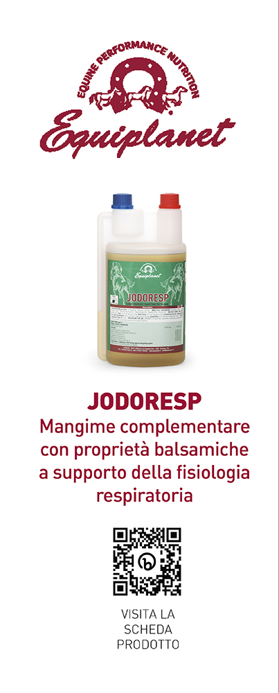 Senza titolo 1 copia