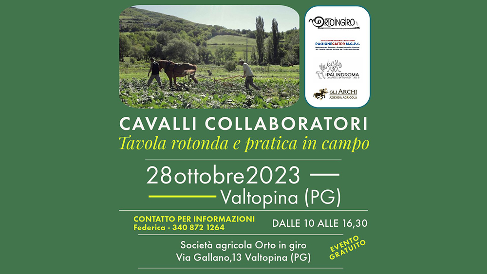 L’appuntamento con i Cavalli Collaboratori