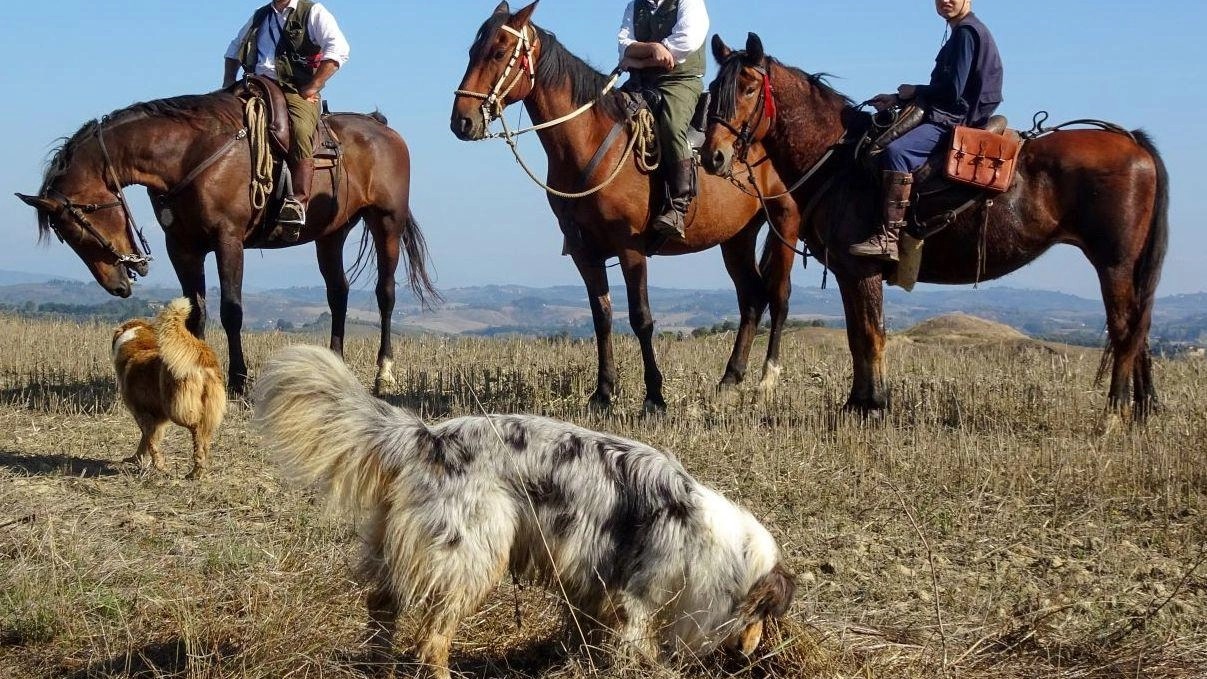 Empoli: 3 giorni per scoprire la Via Francigena (anche) a cavallo