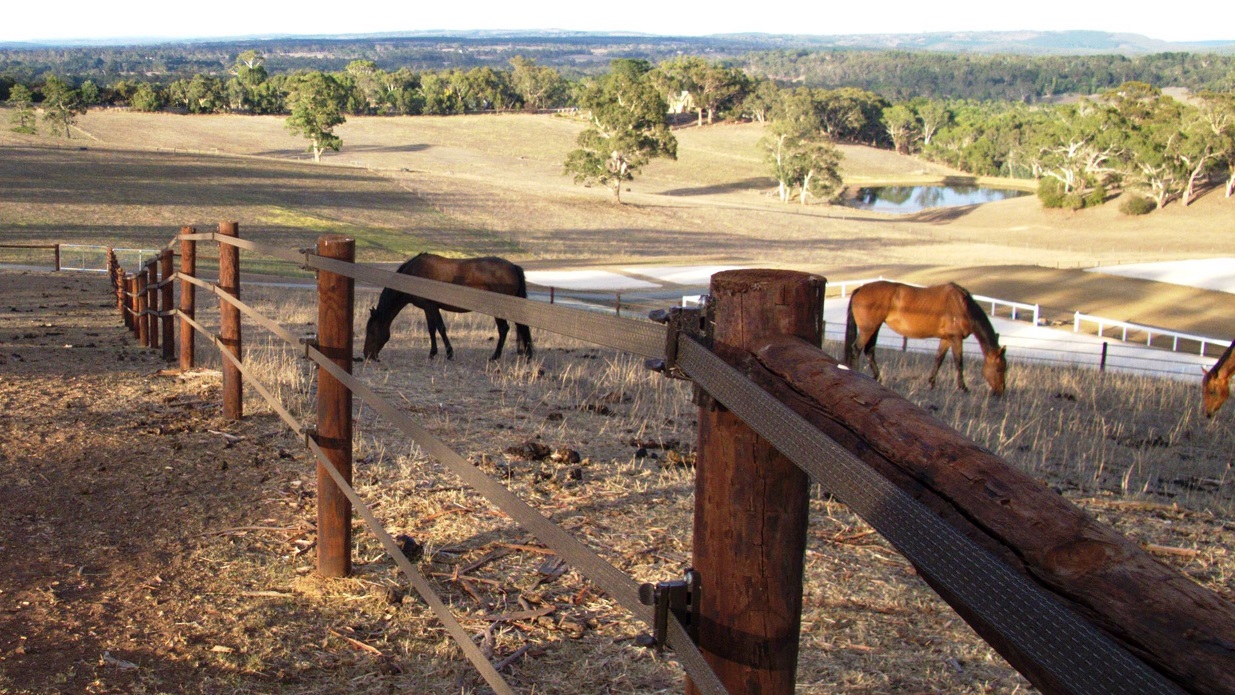 Badi Farm: soluzioni per far stare bene i nostri cavalli