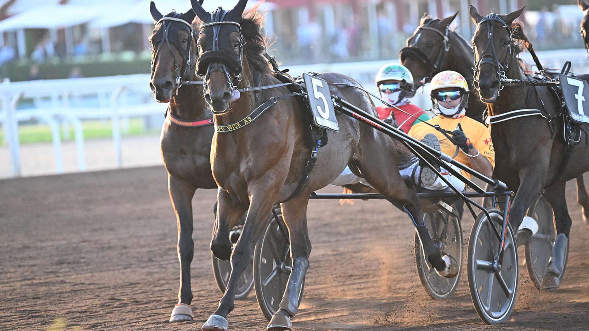 A Expo Wise As il Derby del trotto, Euphoria BI trionfa nelle Oaks