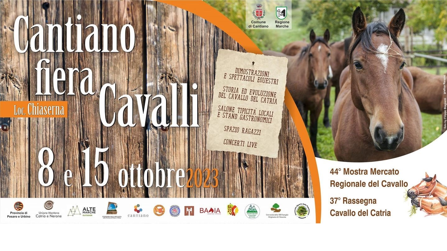 Cantiano: il cavallo del Catria sa sempre ripartire giusto
