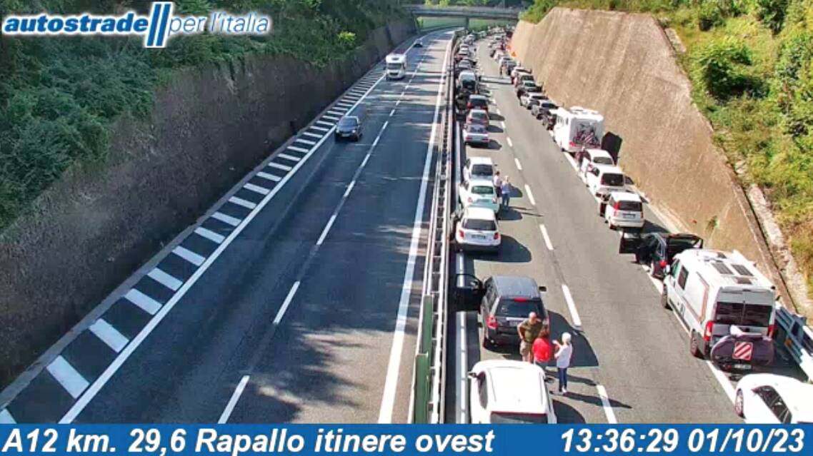 A12, a fuoco furgone: illesi cavalli trasportati e guidatore