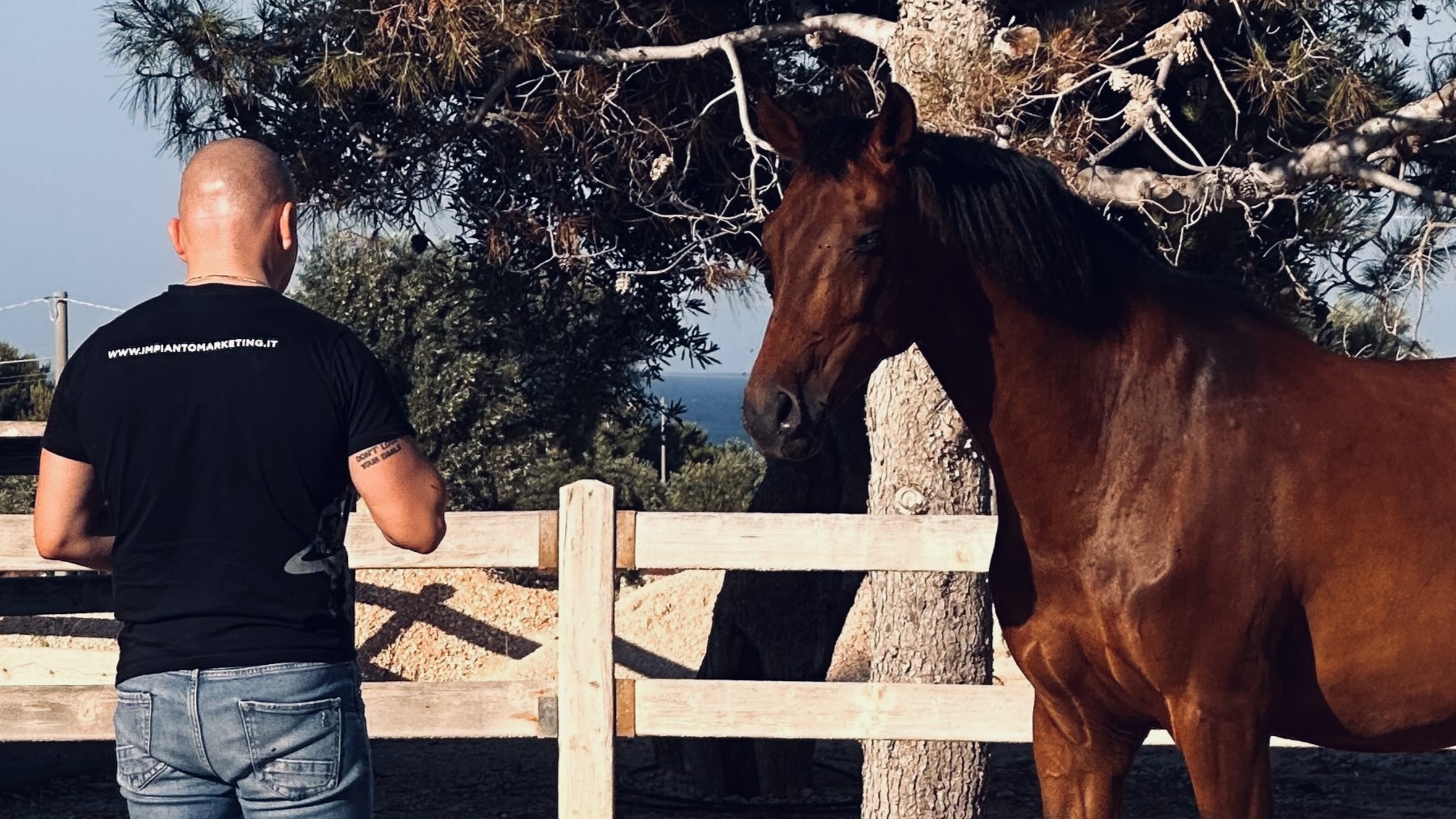 Puglia: arriva LeaderHorse, corso pratico di leadership