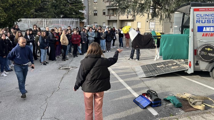 Ripartono i corsi per Soccorritore Cavallo di Animal Rescue Team Italia