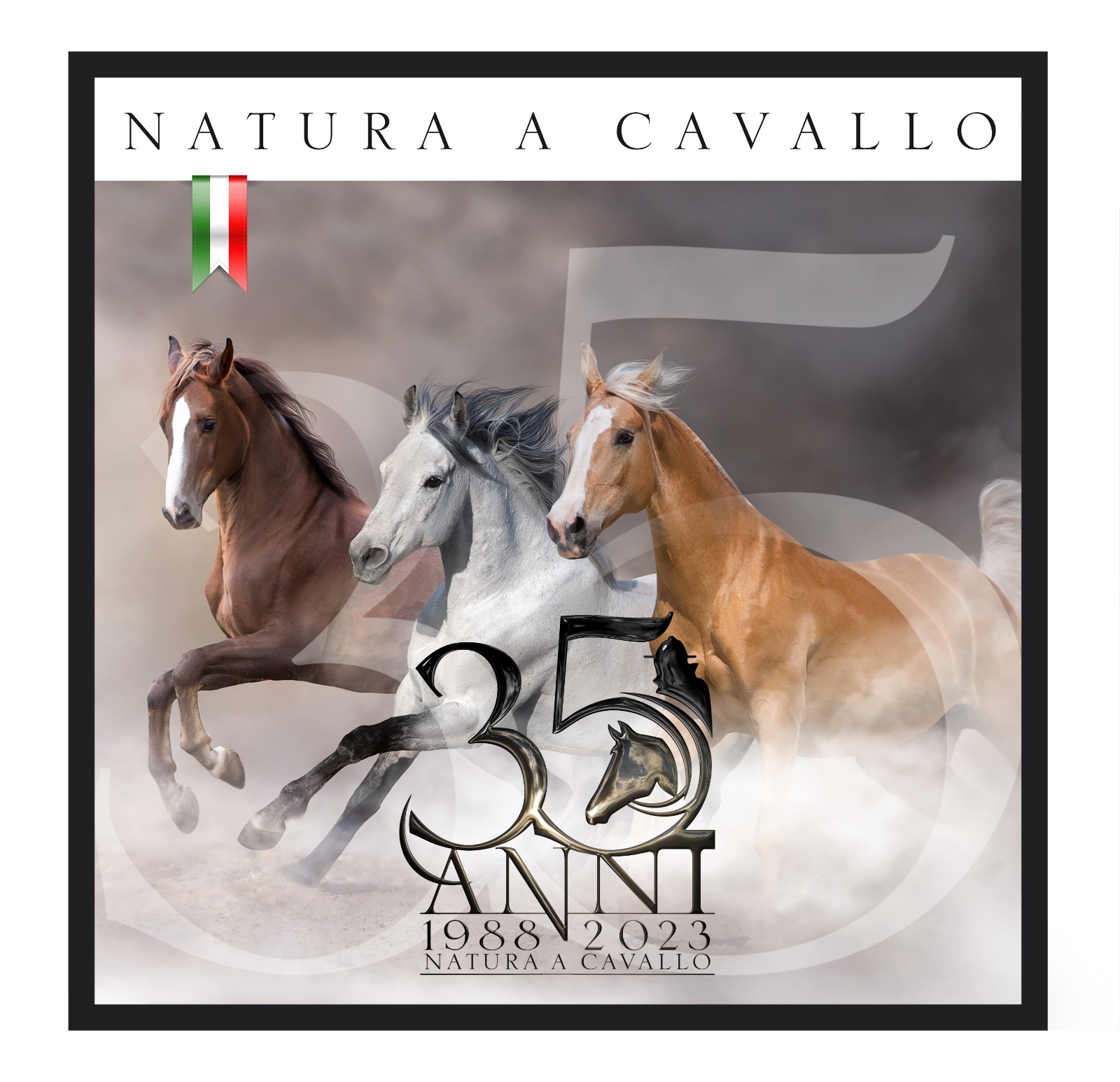 35 natura a cavallo colors