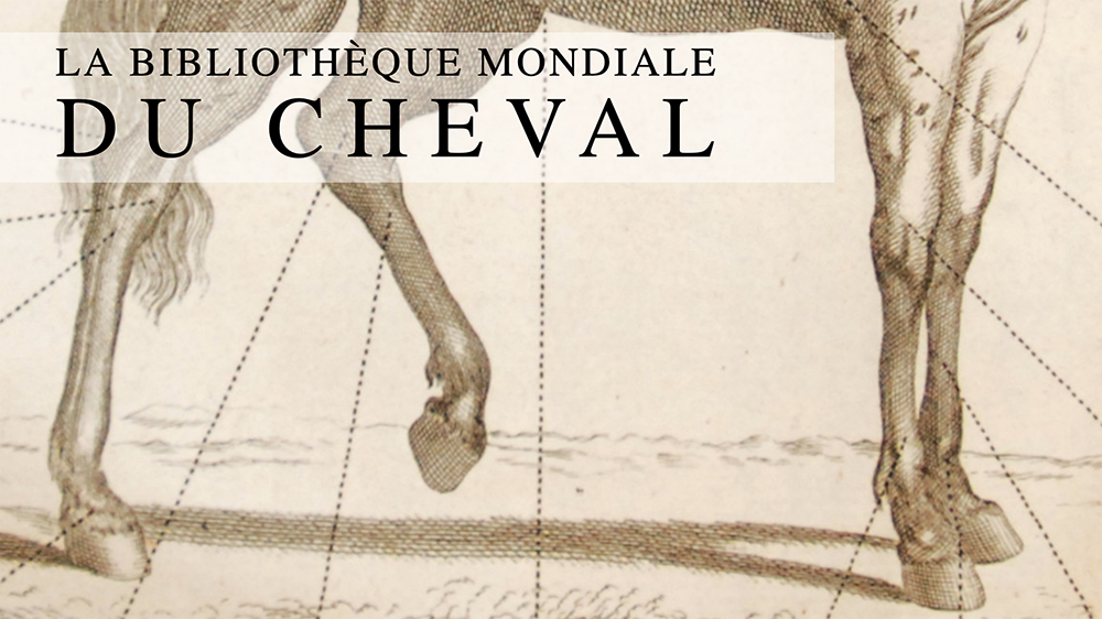 La Biblioteca mondiale del cavallo