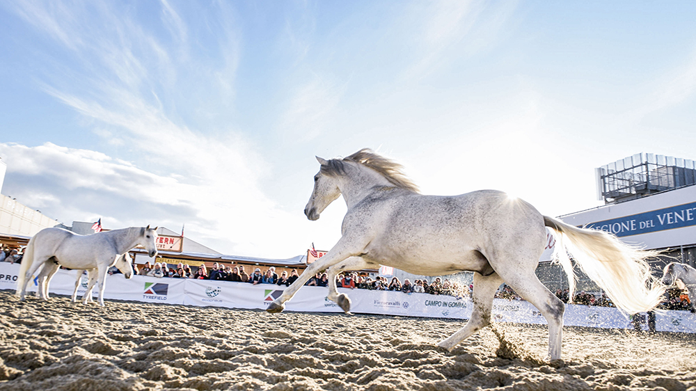 125a Fieracavalli: domani apre il Ministro Lollobrigida
