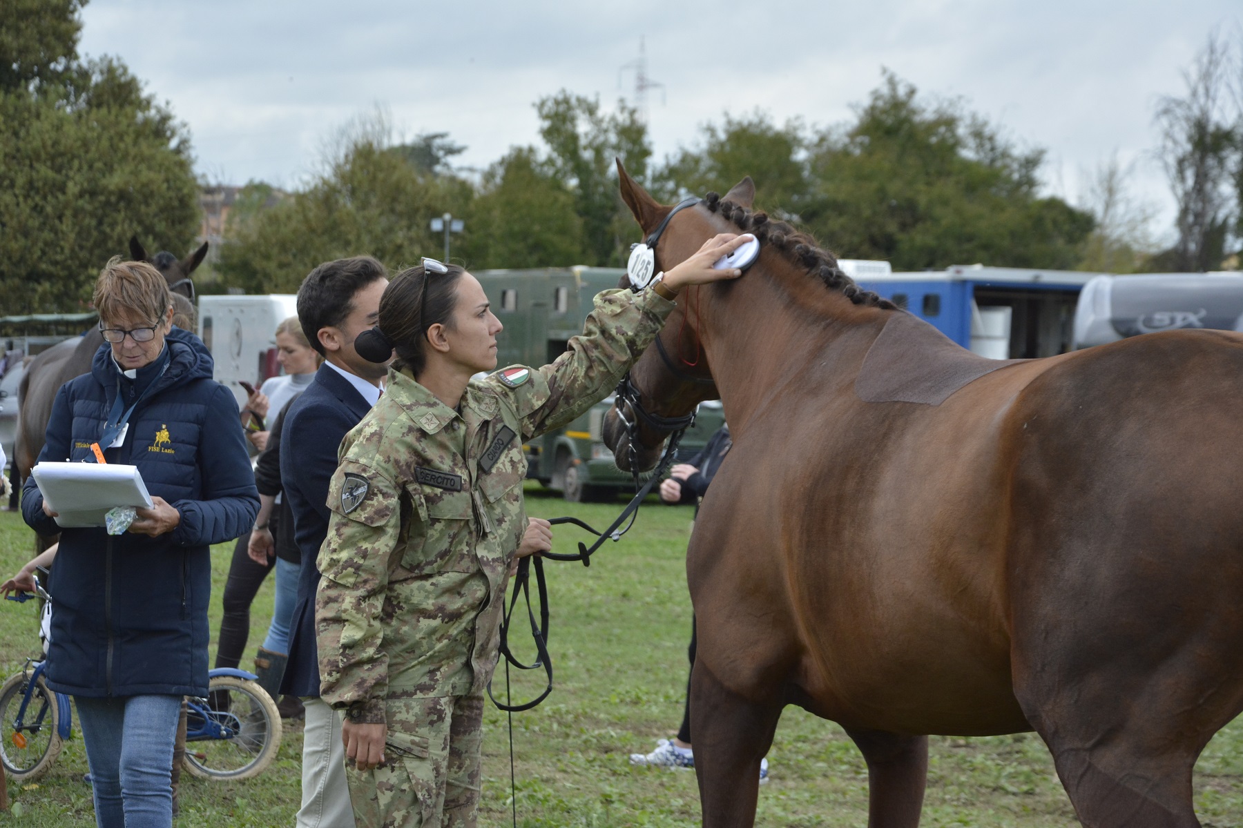 Horse inspection
