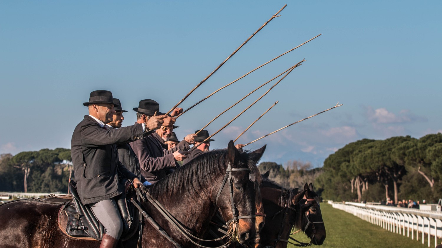 Pisa: domenica a San Rossore ci saranno (anche) i butteri!