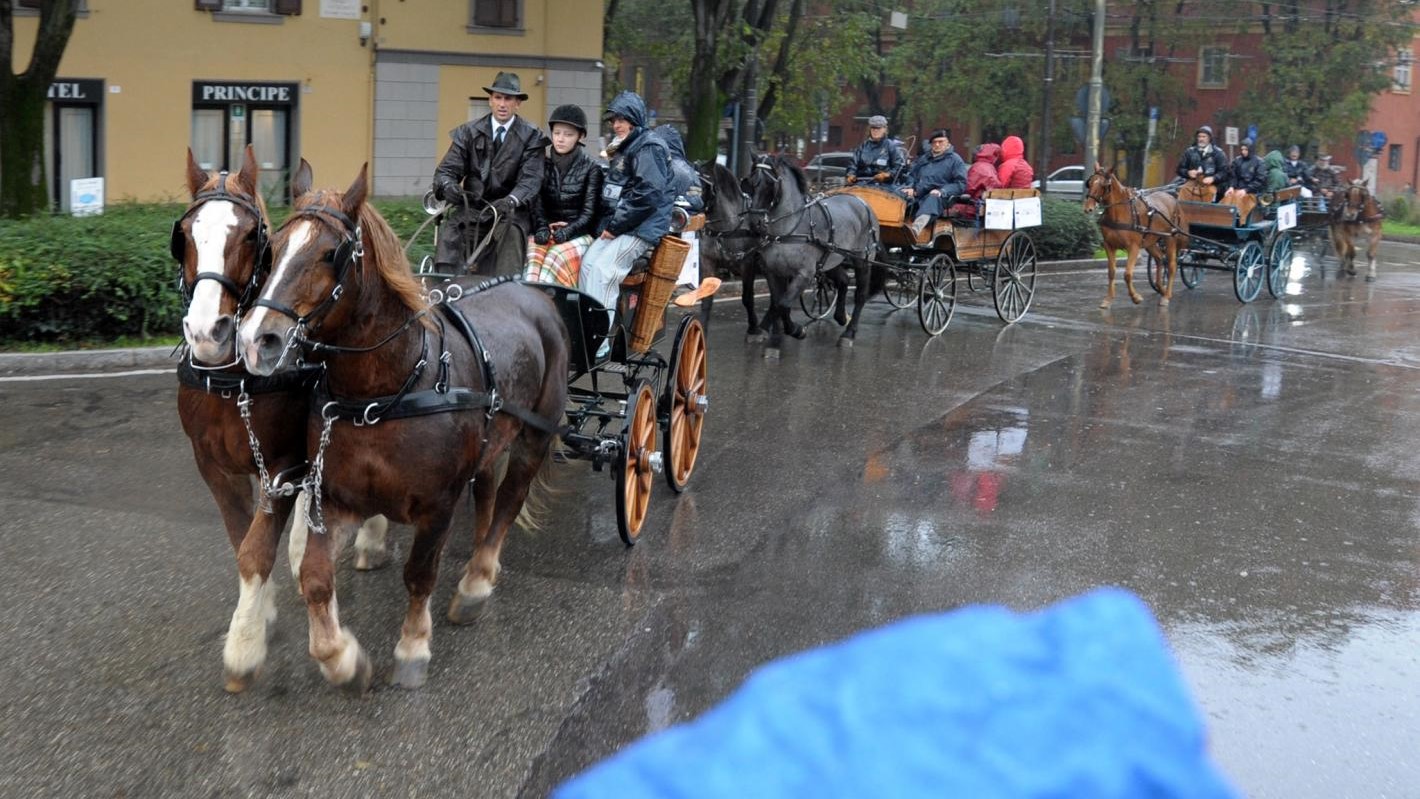 Da Modena a Fieracavalli Verona, Paradriving: il 5° Viaggio del Sor-Riso
