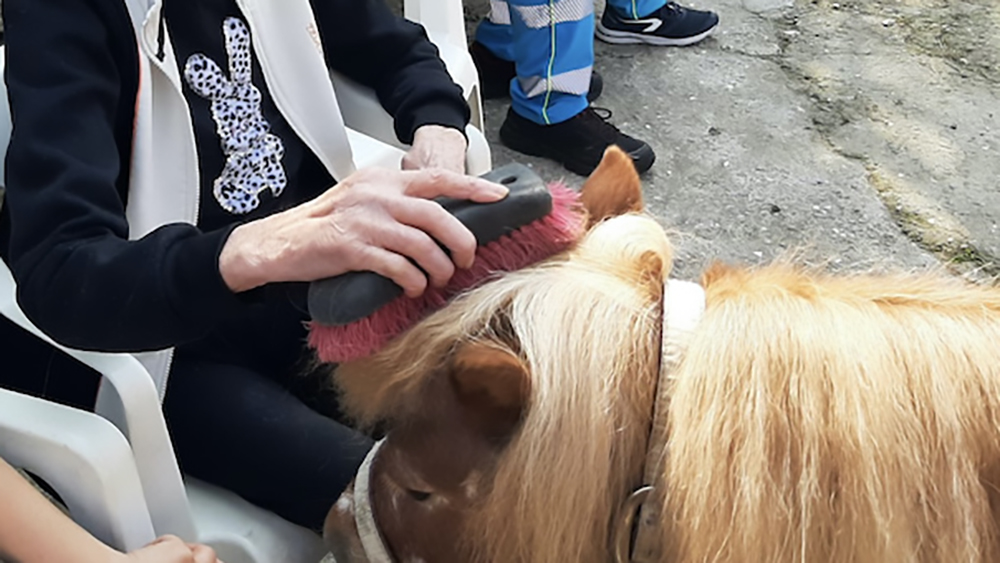 L’inclusione è equestre: progetti da ripetere…