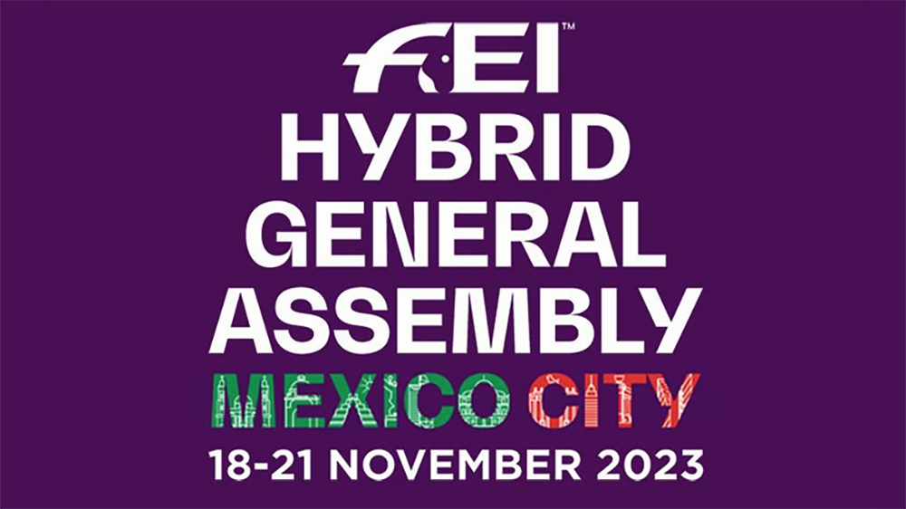 L’Assemblea Fei a Mexico City