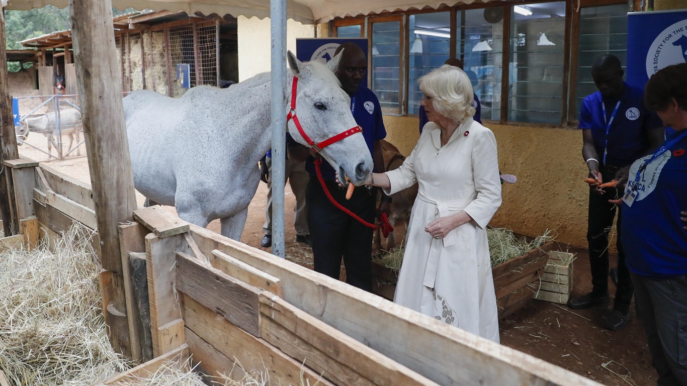 La regina inglese cambia, l’amore per i cavalli no