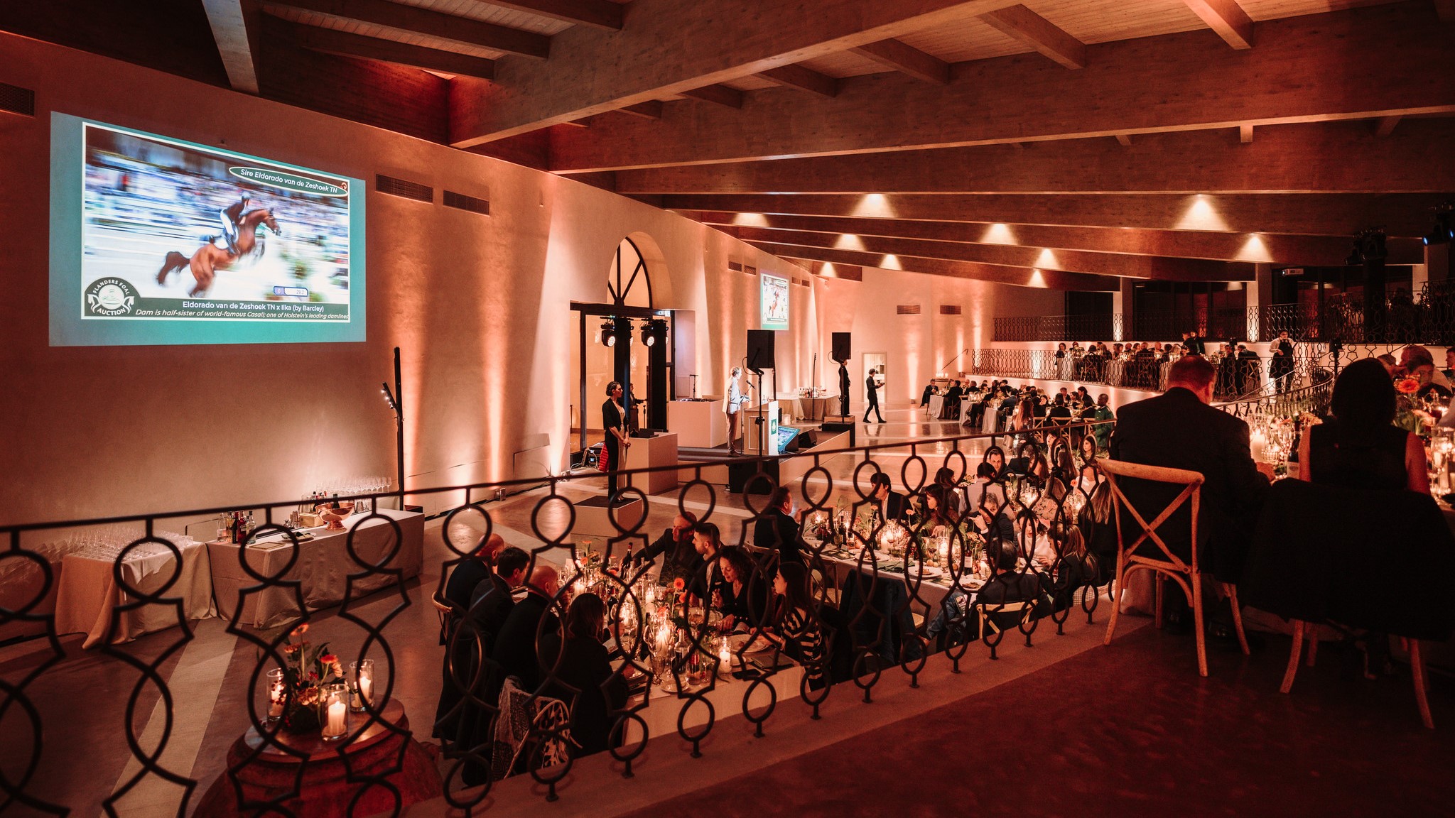 A Il Borro con Flanders Foal Auction: per i campioni di domani
