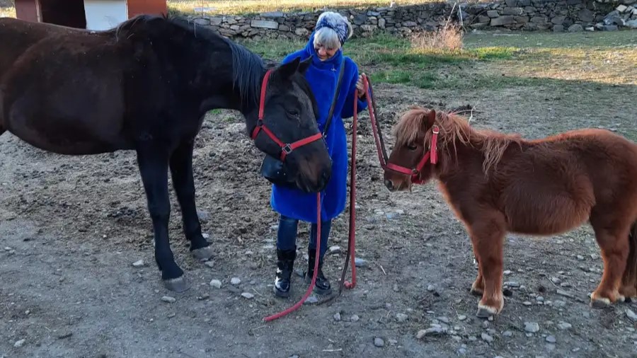 Valsusa, Goccia e Totò salvati da tanti amici e una nuova famiglia