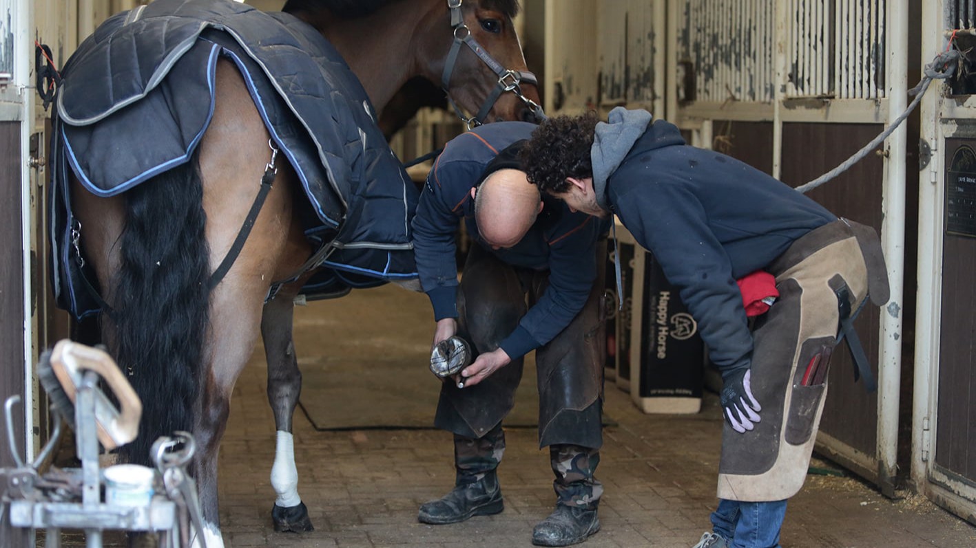 Il piede del cavallo da scuola: la miglior cura è averne cura, cit. Carlo Montagna