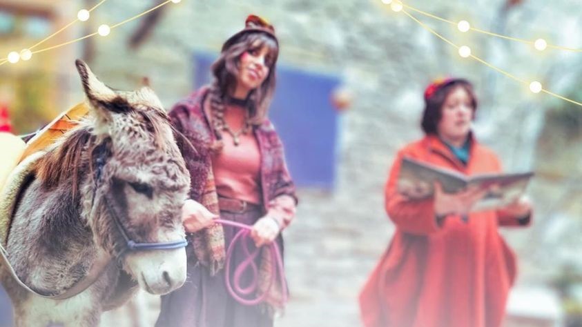 Luisa, asinella ufficiale di Portico: il paese dei Presepi!
