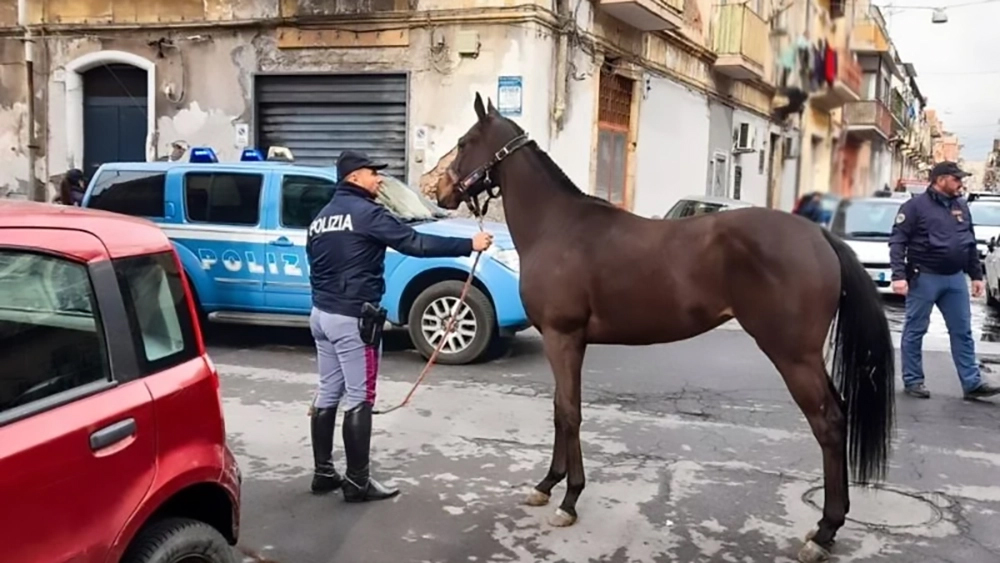 Sequestro a Catania: indovinate dove…