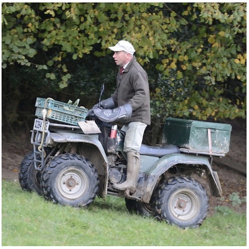 david on quad