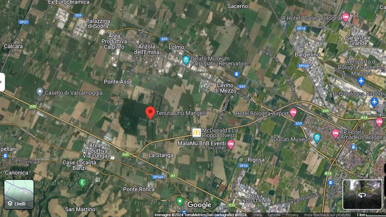 Bologna: ronde notturne per difendere i puledri dai lupi