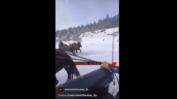Alta Badia, Norici: quando i cavalli ti prendono la mano