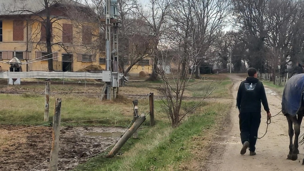 ronde per proteggere i cavalli dai lupi