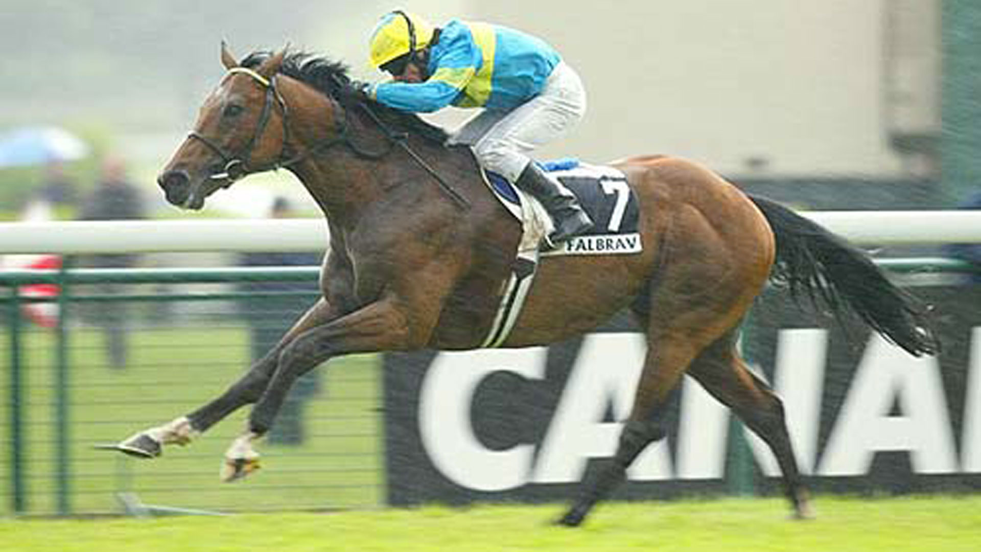Addio al grande Falbrav