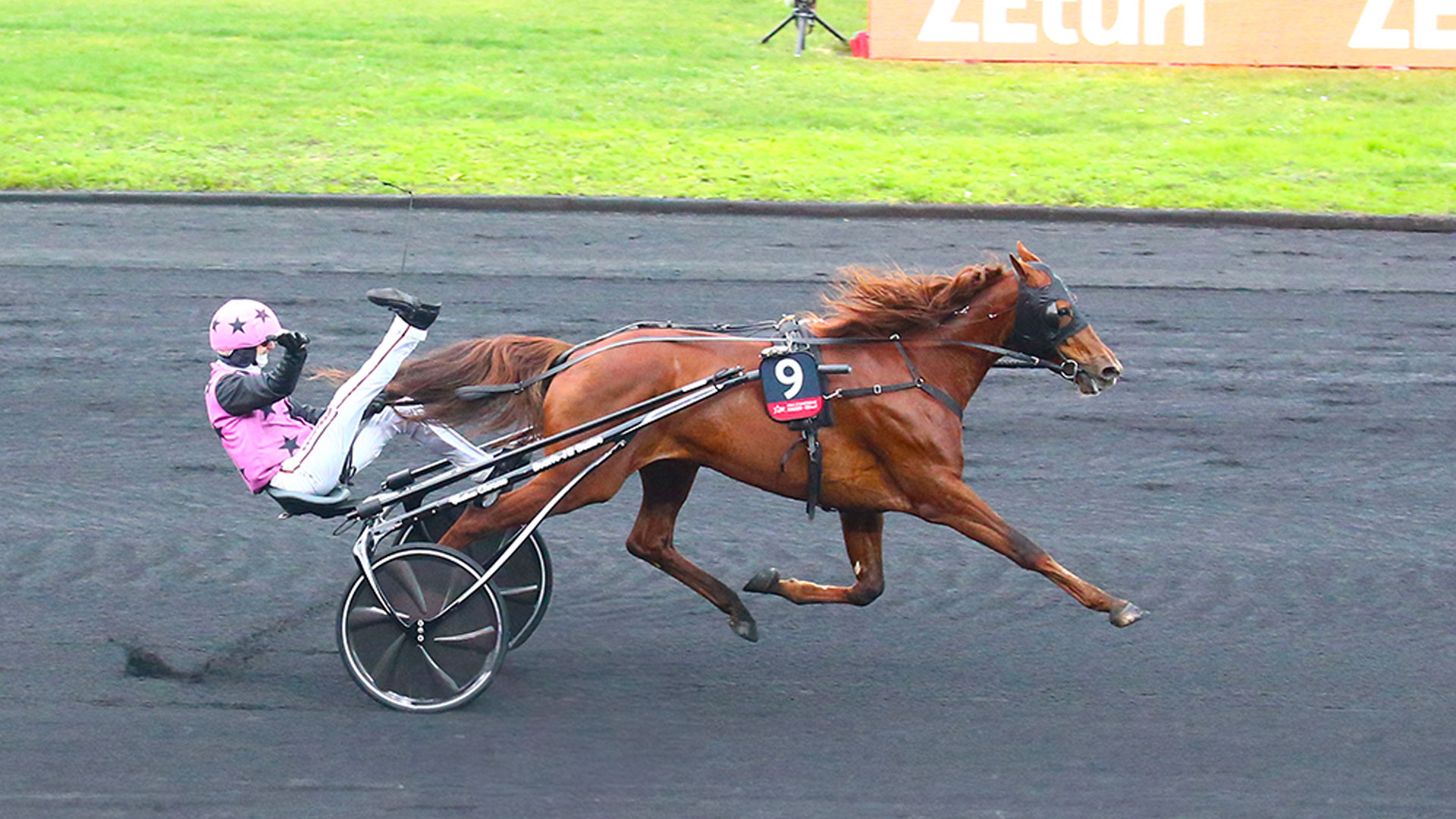Il Prix D’Amerique: la corsa delle corse