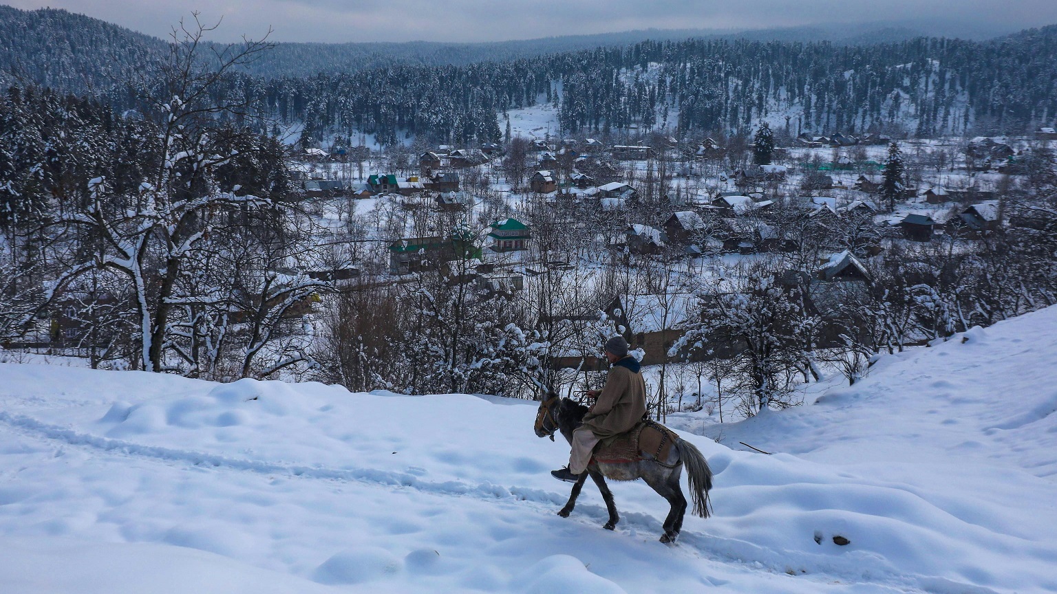Kashmir, tutti bloccati dalla neve: tranne i cavalli