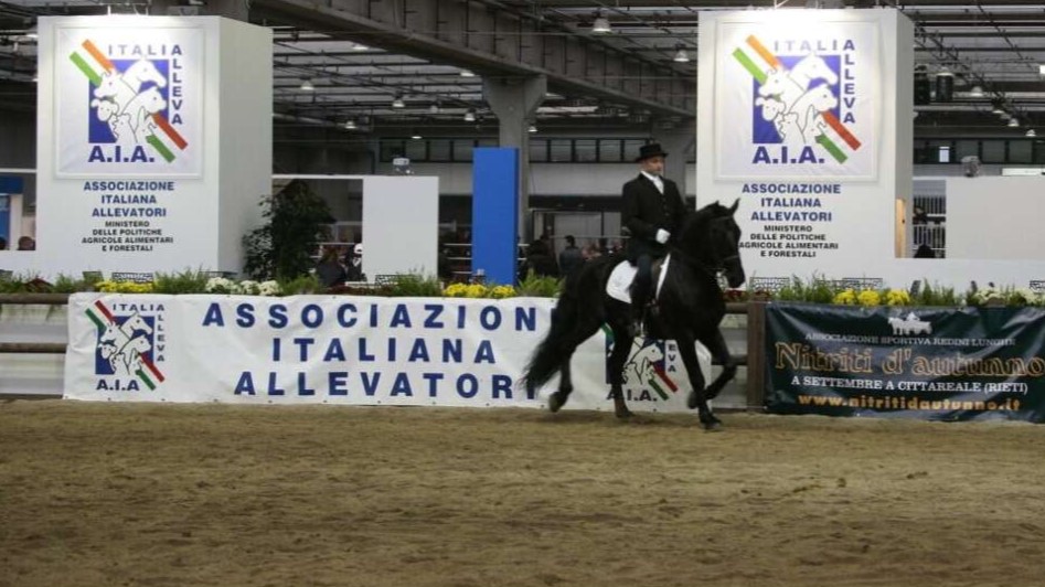 Norme penali su maltrattamento: funzioni guardie zoofile non  sovrapponibili a quelle dei veterinari