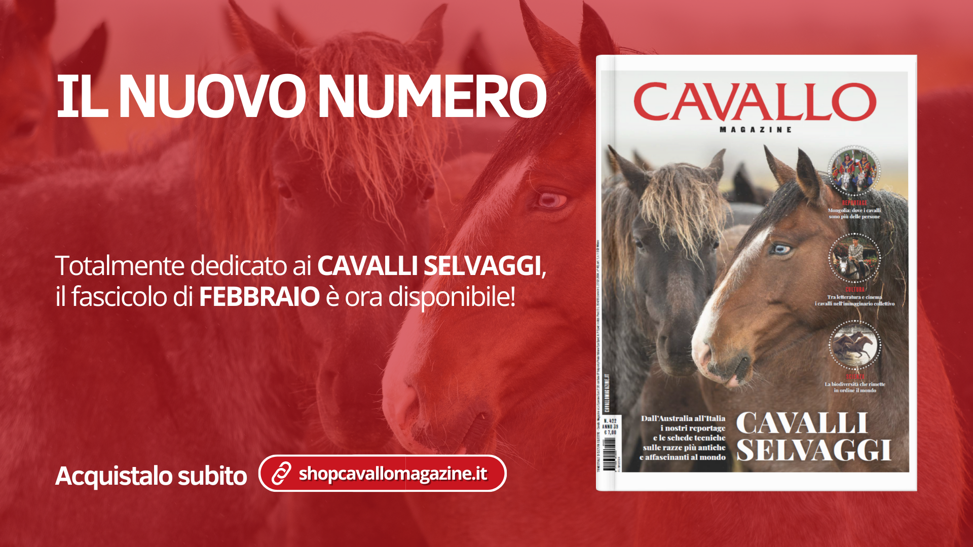 Cavalli Selvaggi: il nuovo numero è arrivato!