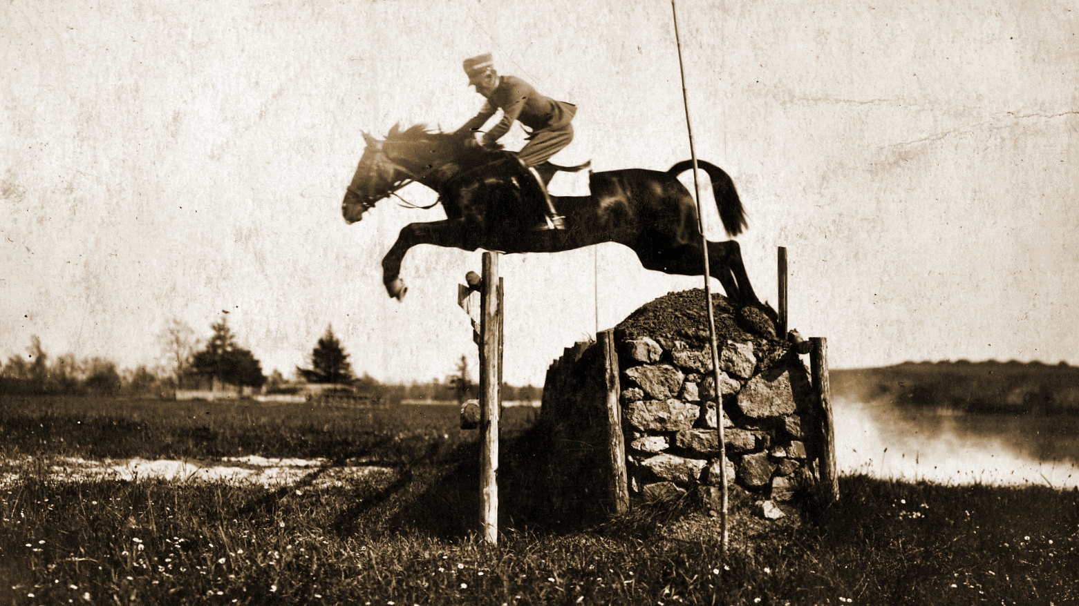 Il cavallo che salva l’uomo