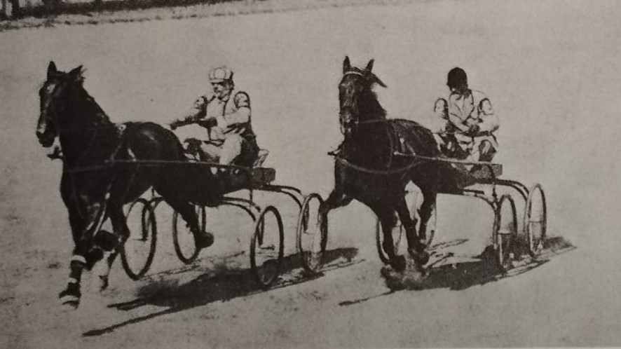 Nato per il Trotto, terza puntata: la famosa razza Piave