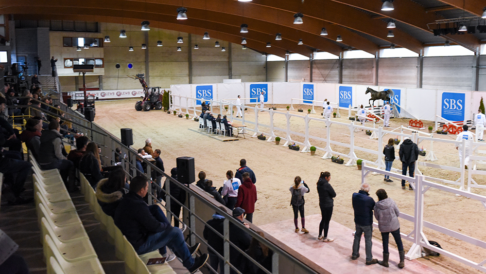 Tutto pronto per gli stalloni di Gesves