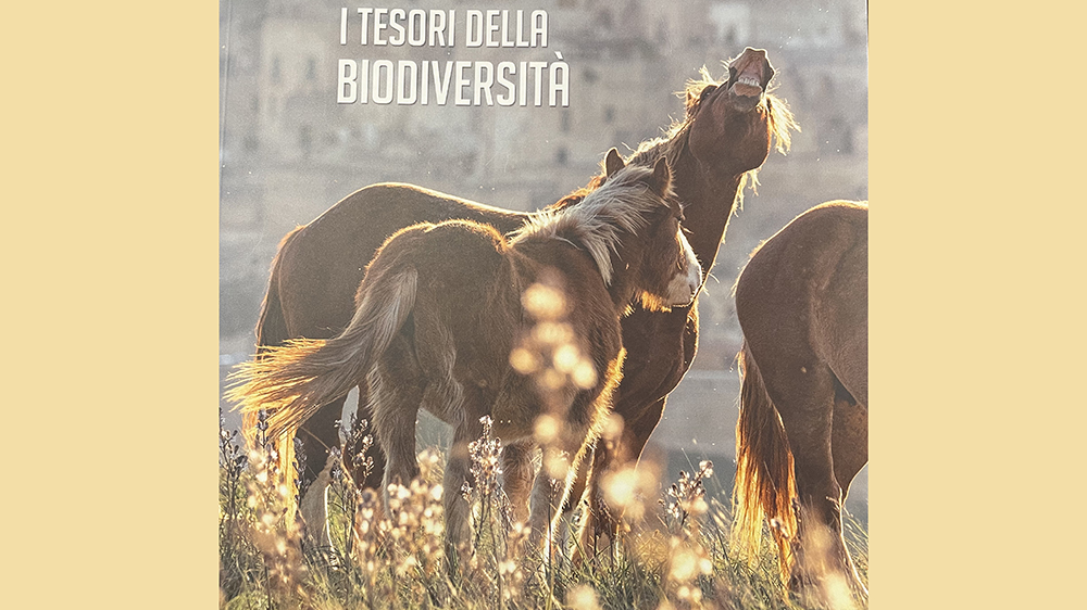 Biodiversità, parola d’ordine per il futuro