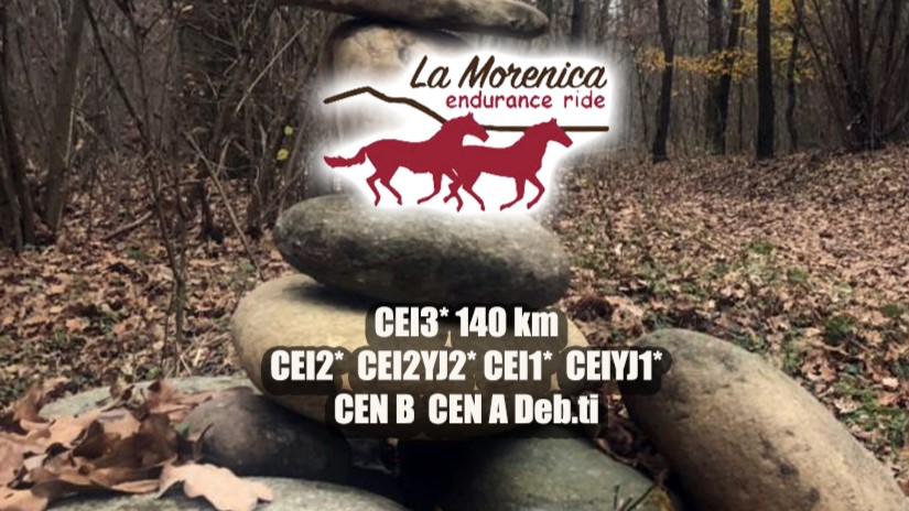 La Morenica 2024: 160 cavalieri al via per 11 nazioni e 9 regioni italiane