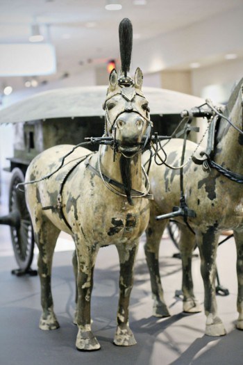 terracotta warriors004 e1354734424331 museo minneapolis