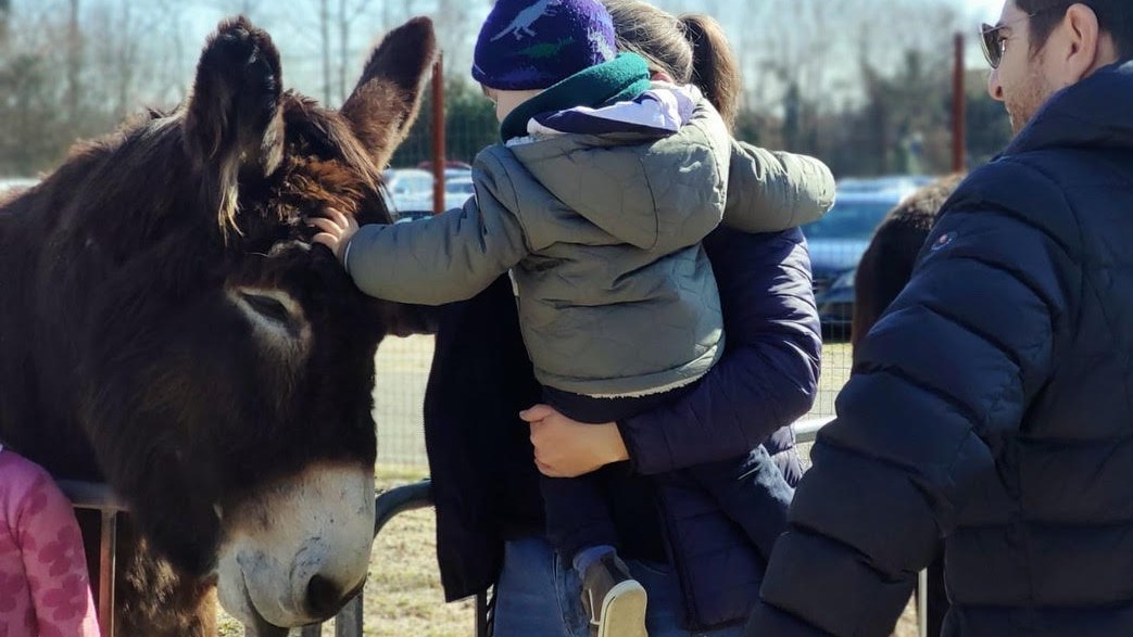 Godega di Sant’Urbano: una antica fiera agricola a misura di famiglia