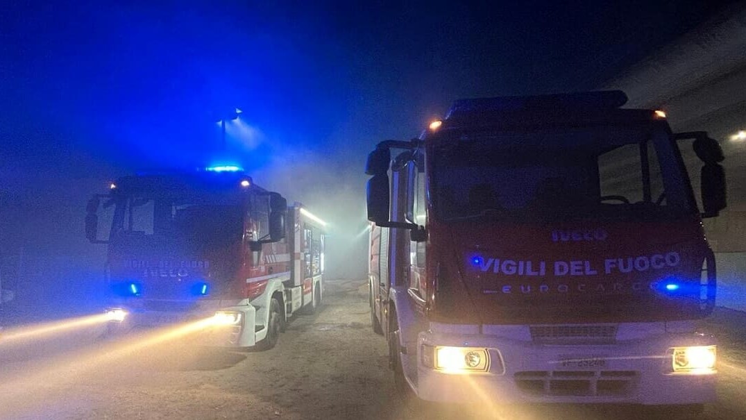 Torino: il pony-maestro muore nell’incendio